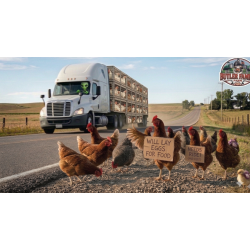 JERRY'S CHICKENS!