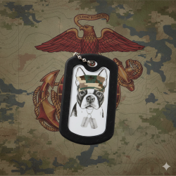 10 CUSTOM DOG TAGS