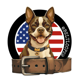 BELTLOOP29 20 OZ TUMBLER